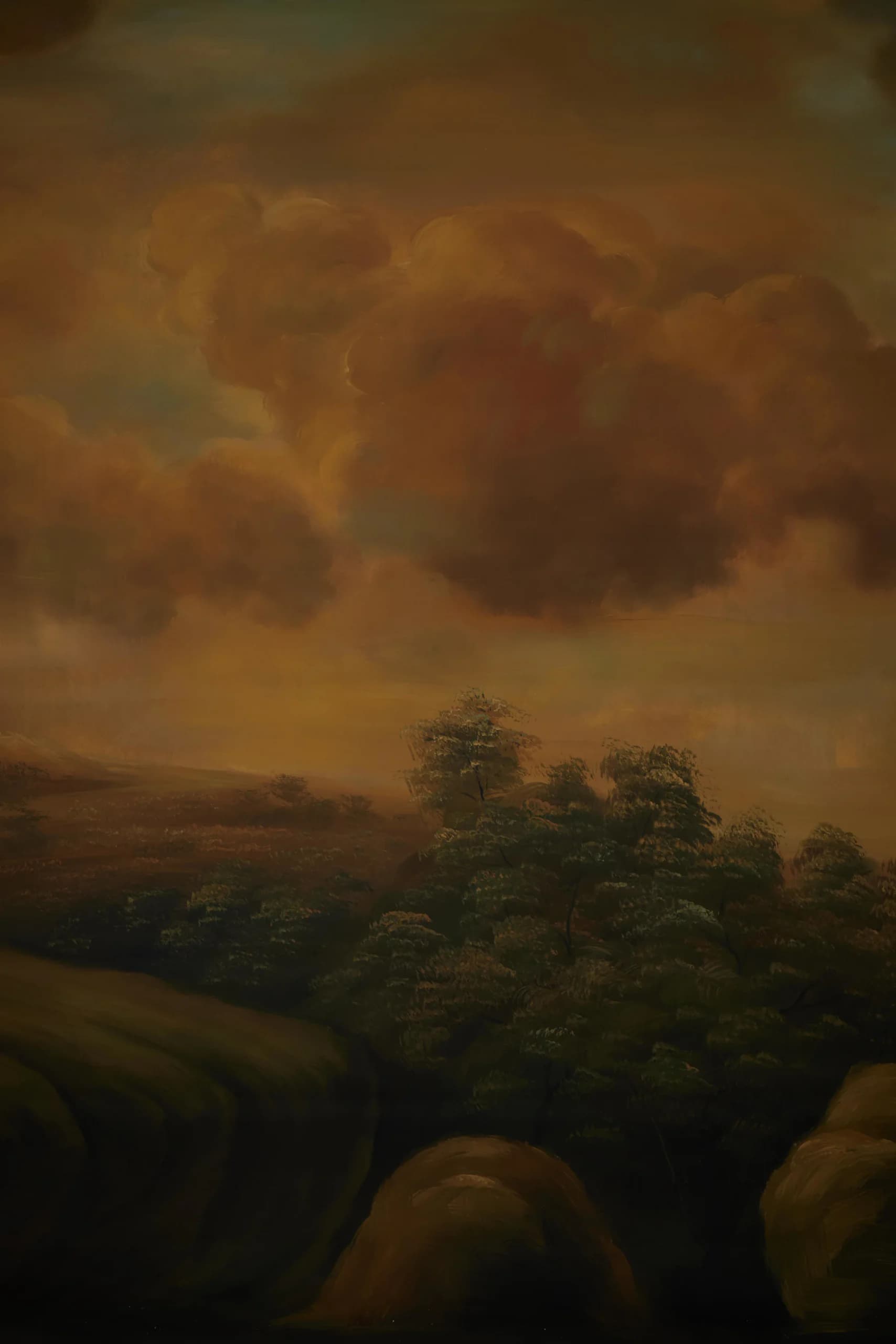 B007 - Ember Valley hand-painted canvas backdrop, view 6