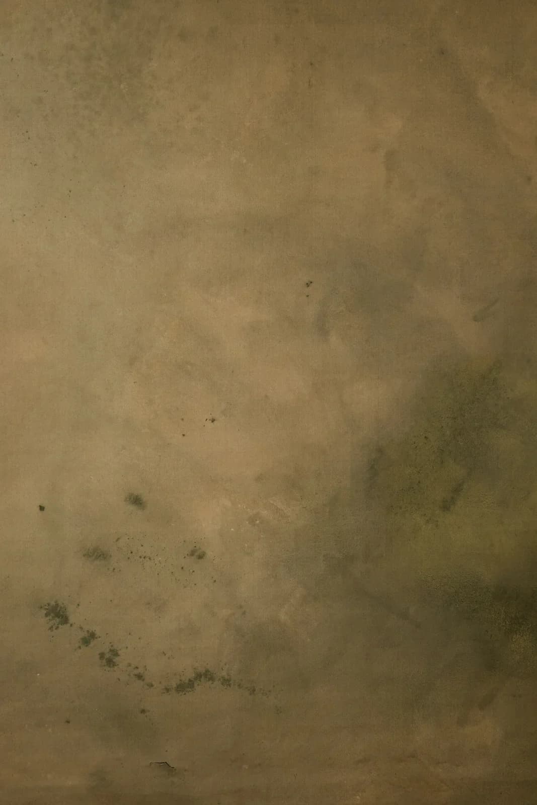 CB016R - Olive Patina Digital Backdrop