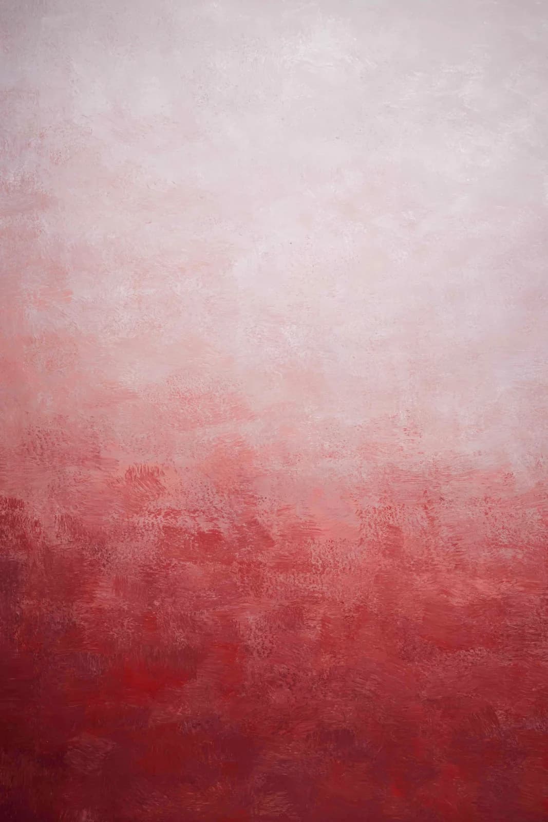 A024 - Rose Fade Digital Backdrop