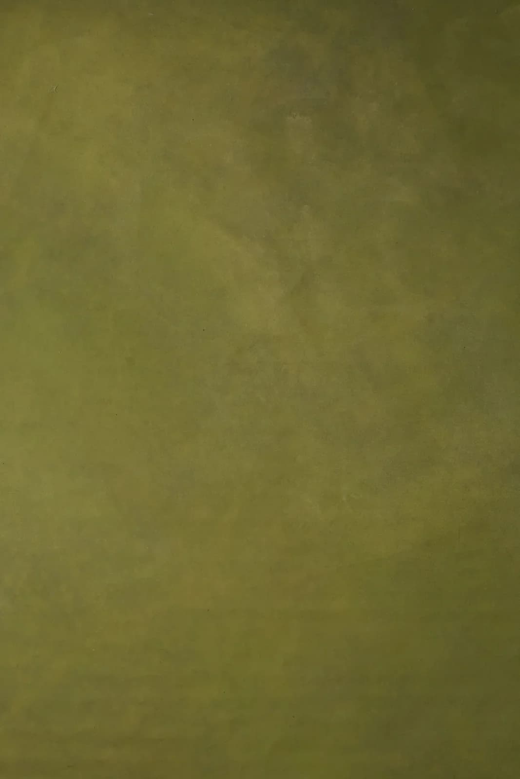 CB014R - Distressed Olive Green Digital Backdrop