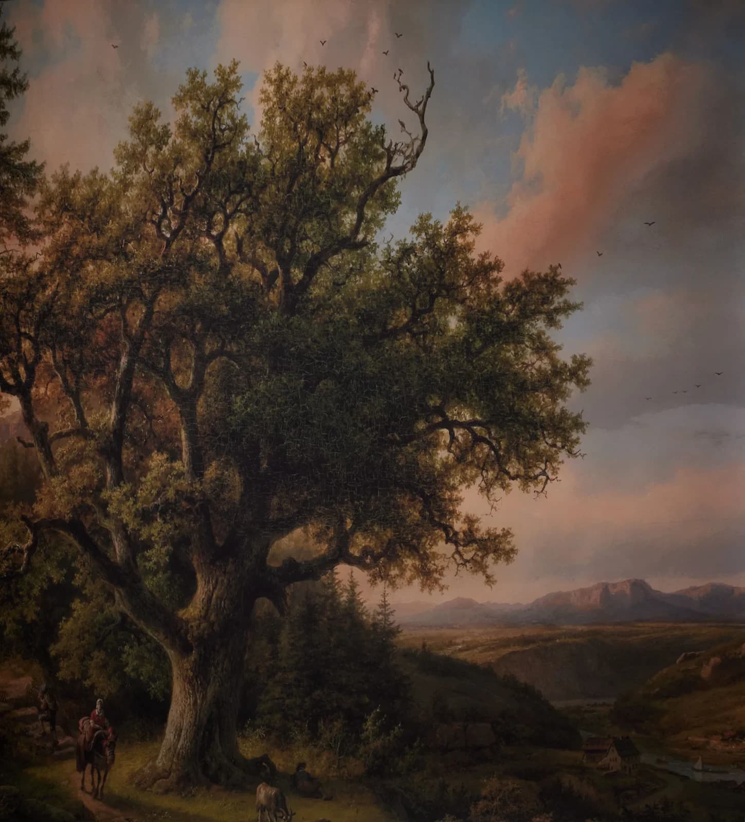 CB087RP - Ancient Oak Digital Backdrop