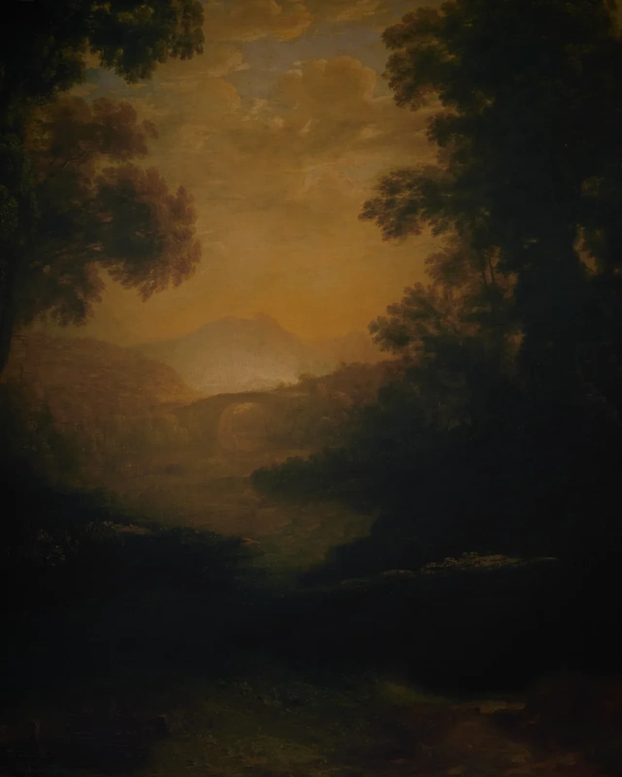 CB085RP - Woodland Nocturne Digital Backdrop