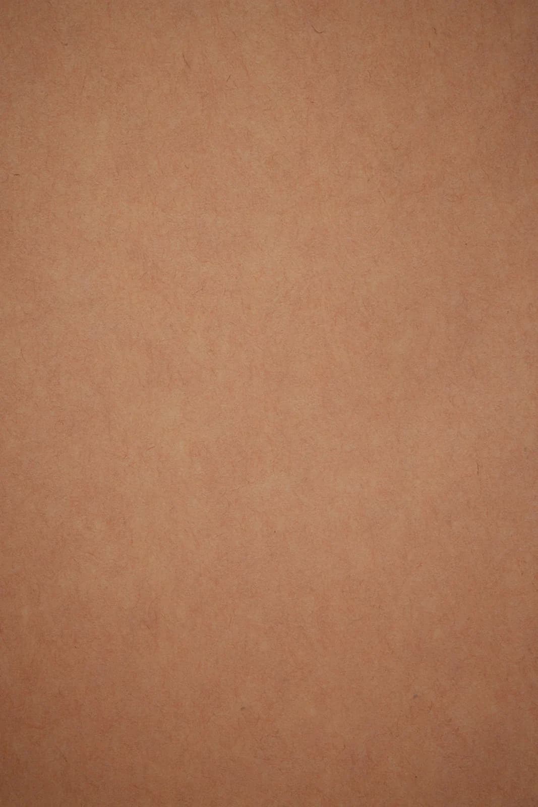 CB053RP - Clay Blush Digital Backdrop